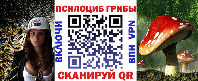 Псилоцибиновые грибы Magic Shrooms  Купить  Переславль-Залесский 